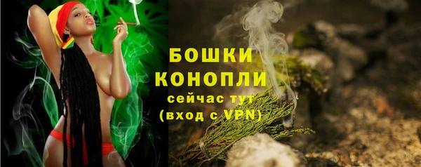 трава Арсеньев