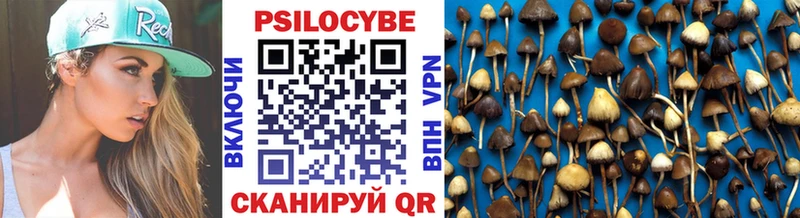 Галлюциногенные грибы Magic Shrooms  Приозерск 